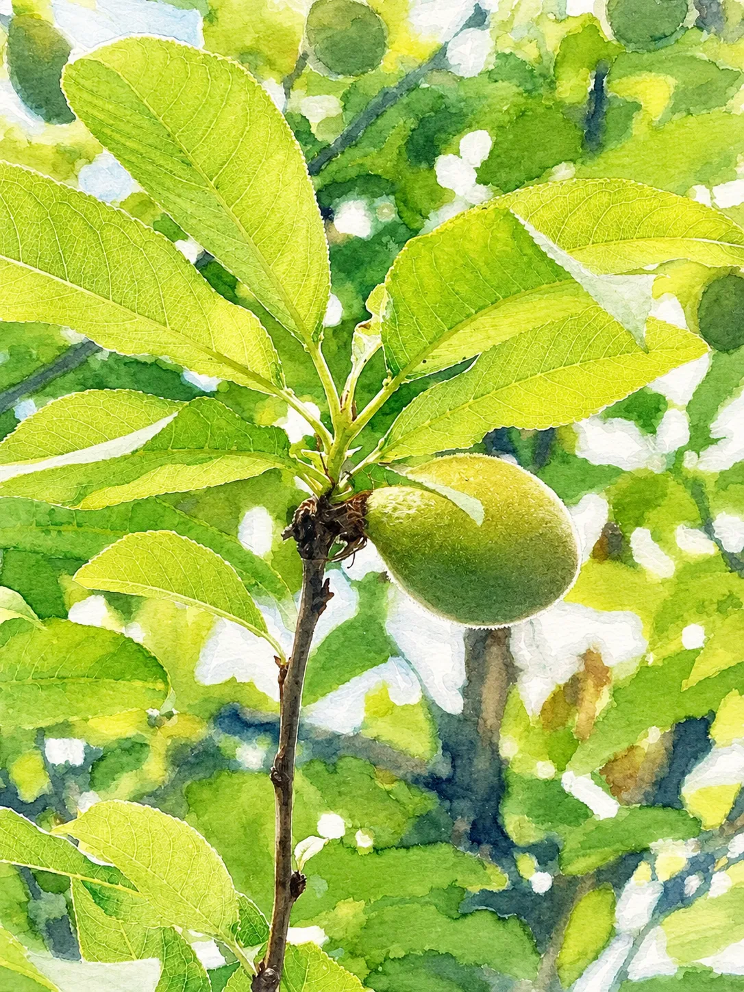散歩中に見かけた景色をシェアすることも